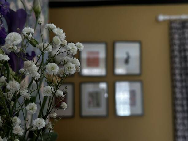 Imagen de la habitación del Hotel One Drake Road BandB. Foto 16