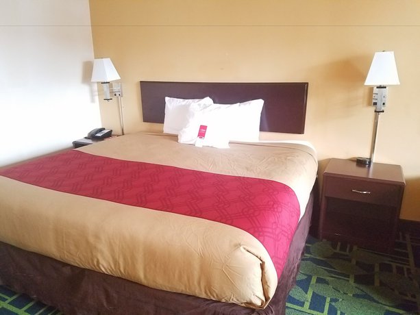 Imagen de la habitación del Hotel One Life Studios, Evansville. Foto 2