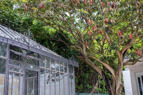 Imagen general del Hotel One Shot Palácio Cedofeita. Foto 16