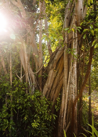 Imagen general del Hotel One and Only Desaru Coast. Foto 2