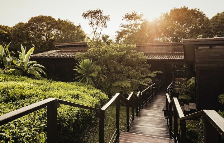 Imagen general del Hotel Oneandonly Nyungwe House. Foto 1