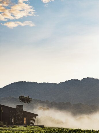 Imagen general del Hotel Oneandonly Nyungwe House. Foto 4