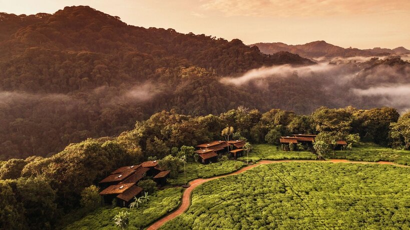 Imagen general del Hotel Oneandonly Nyungwe House. Foto 9