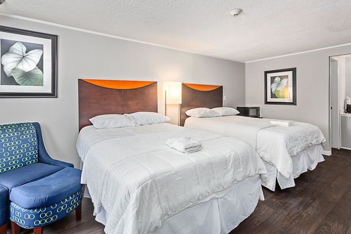 Imagen de la habitación del Hotel Oneway Brunswick. Foto 12