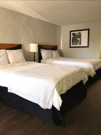 Imagen de la habitación del Hotel Oneway Brunswick. Foto 17