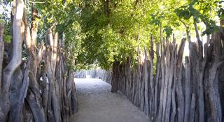 Imagen de los exteriores del Hotel Ongula Village Homestead Lodge. Foto 17