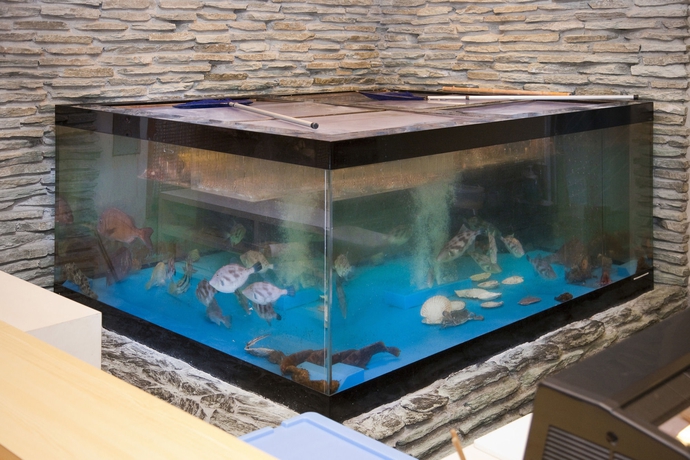 Imagen del bar/restaurante del Hotel Onomichi Kokusai. Foto 4