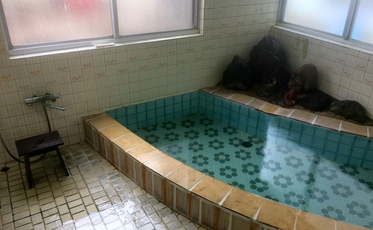 Imagen general del Hotel Onsen Guesthouse Sakaeya. Foto 2