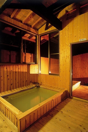 Imagen de la piscina del Hotel Onsen Yado Misuzuso. Foto 17