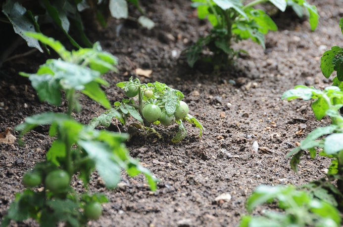 Imagen de los exteriores del Hotel Ontur Butik Otel Ankara - Boutique Class. Foto 11