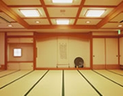 Imagen de los interiores del Hotel Onyado Megumi. Foto 4