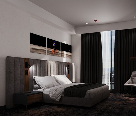 Imagen de la habitación del Hotel Onyx, Tbilisi. Foto 3
