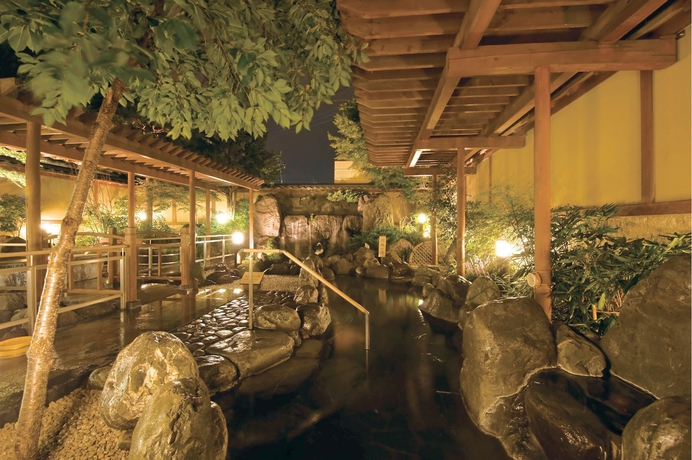 Imagen de la piscina del Hotel Ooike. Foto 14