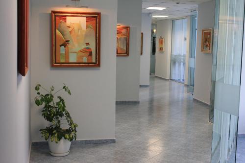 Imagen general del Hotel Opal, Nessebar. Foto 5