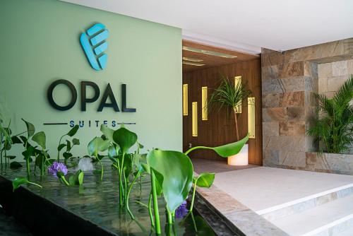 Imagen de los interiores del Hotel Opal Suites. Foto 23