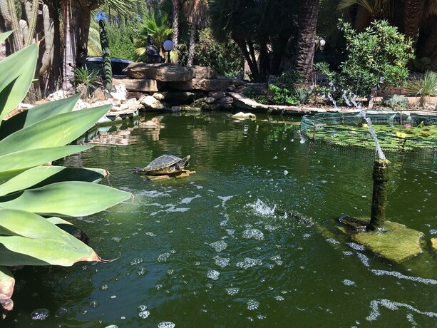 Imagen general del Hotel Open Sky Villa. Foto 10