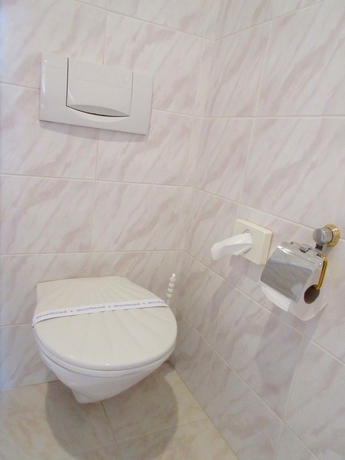 Imagen de la habitación del Hotel Opera, Praga. Foto 7