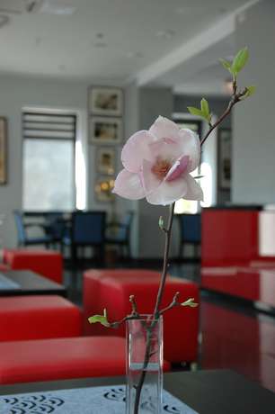 Imagen del bar/restaurante del Hotel Opera, Tarnowskie Gory. Foto 2