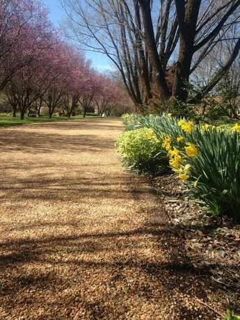 Imagen de los exteriores del Hotel Ophir Gold Bed and Breakfast. Foto 13