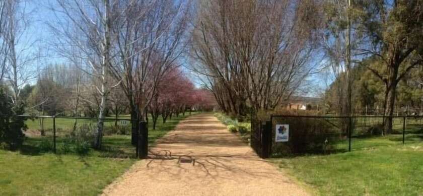 Imagen de los exteriores del Hotel Ophir Gold Bed and Breakfast. Foto 18