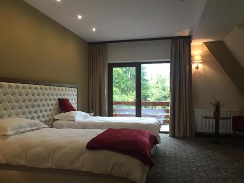 Imagen de la habitación del Hotel Opus Villa, SINAIA. Foto 8