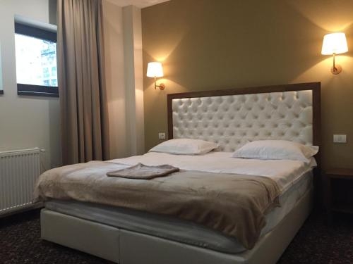 Imagen de la habitación del Hotel Opus Villa, SINAIA. Foto 9