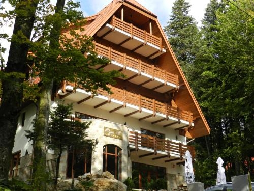 Imagen general del Hotel Opus Villa, SINAIA. Foto 2