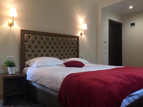 Imagen general del Hotel Opus Villa, SINAIA. Foto 3