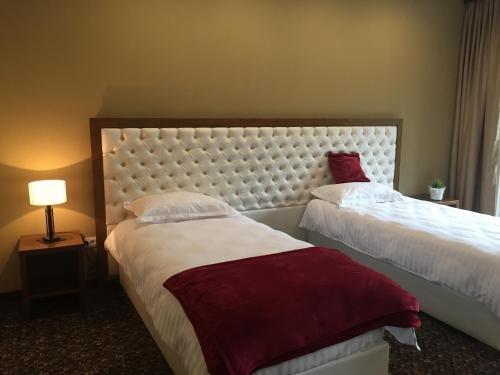Imagen general del Hotel Opus Villa, SINAIA. Foto 4