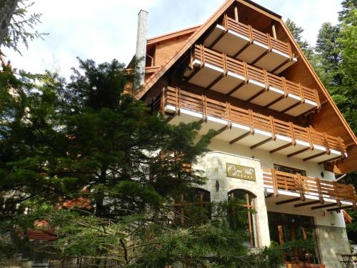 Imagen general del Hotel Opus Villa, SINAIA. Foto 5
