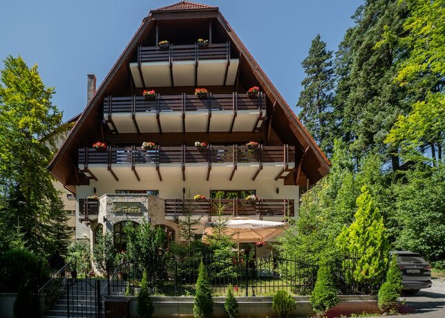 Imagen general del Hotel Opus Villa, SINAIA. Foto 1