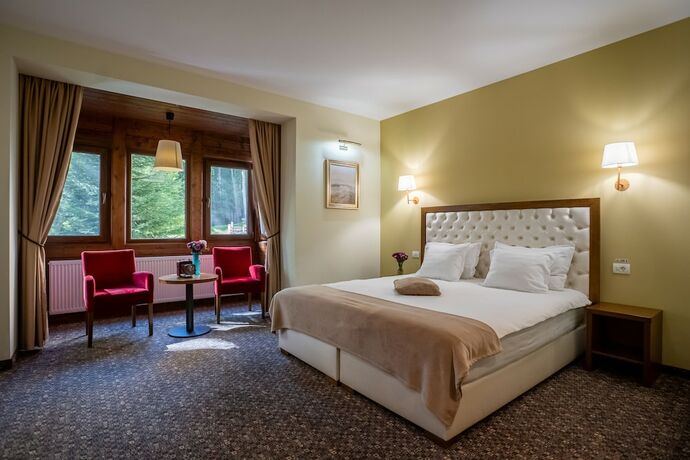 Imagen de la habitación del Hotel Opus Villa, SINAIA. Foto 12