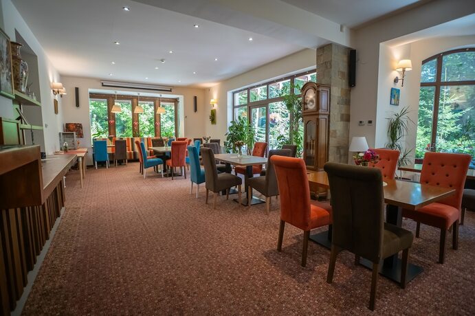 Imagen general del Hotel Opus Villa, SINAIA. Foto 3