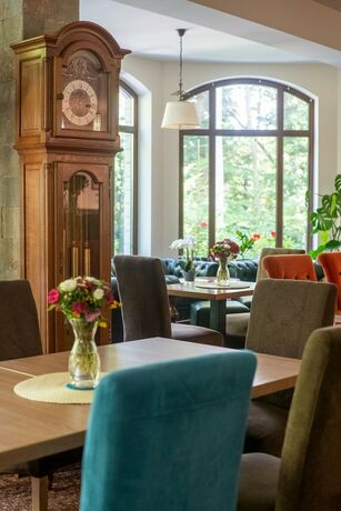 Imagen general del Hotel Opus Villa, SINAIA. Foto 4