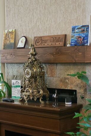 Imagen general del Hotel Opus Villa, SINAIA. Foto 5