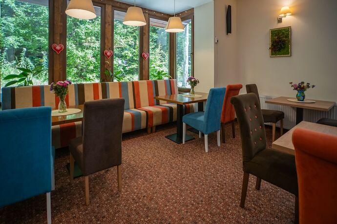 Imagen general del Hotel Opus Villa, SINAIA. Foto 8