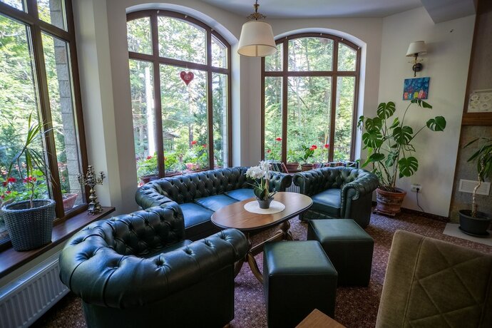 Imagen general del Hotel Opus Villa, SINAIA. Foto 9