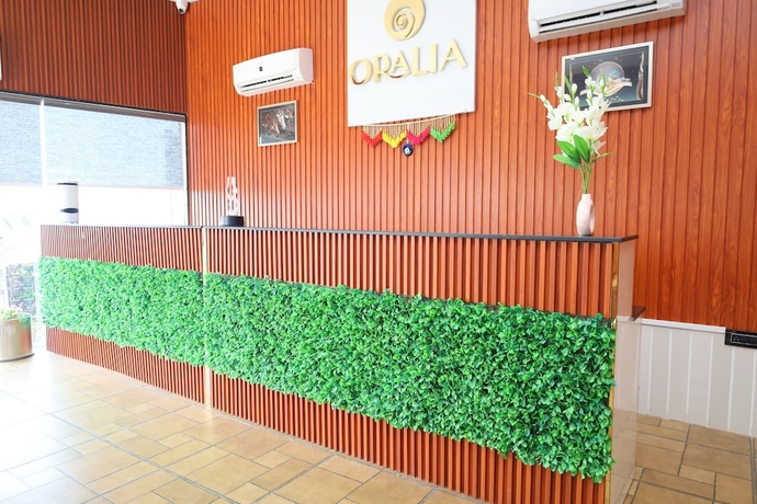 Imagen de los interiores del Hotel Oralia Resort. Foto 17