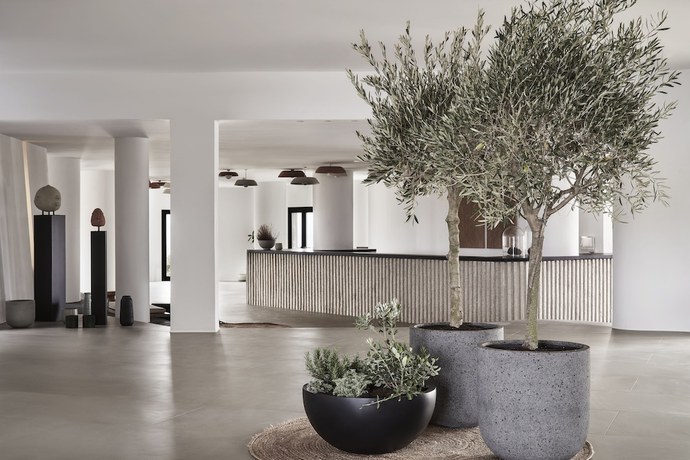 Imagen de los interiores del Hotel Orama and Spa. Foto 19