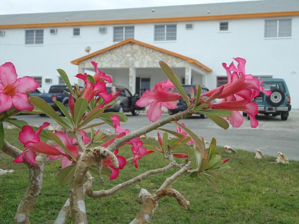 Imagen general del Hotel Orange Creek Inn. Foto 1