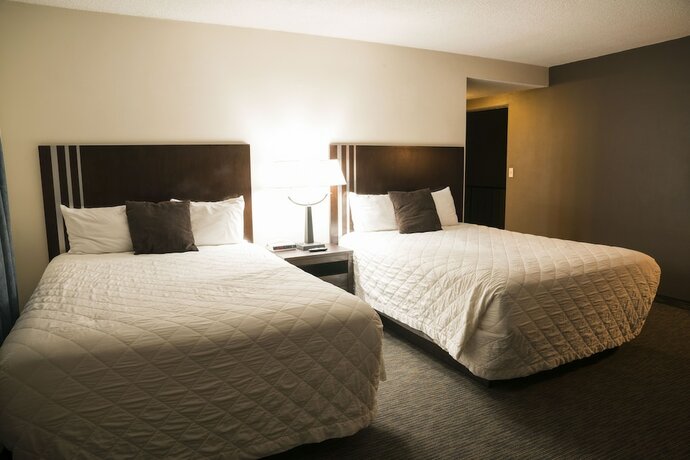 Imagen de la habitación del Hotel Orange Tree Inn. Foto 20