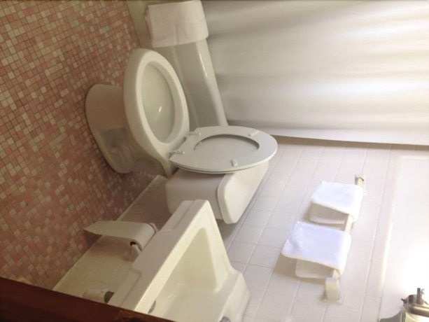 Imagen de la habitación del Hotel Orchard Park Inn. Foto 3