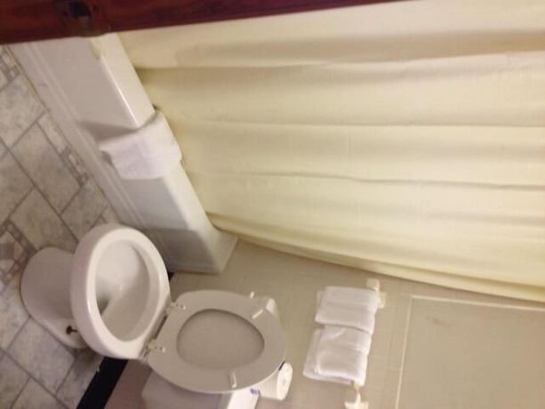 Imagen de la habitación del Hotel Orchard Park Inn. Foto 8