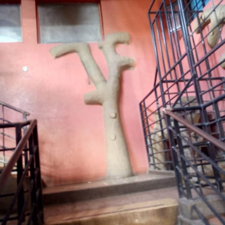 Imagen general del Hotel Orchards Lodge. Foto 5