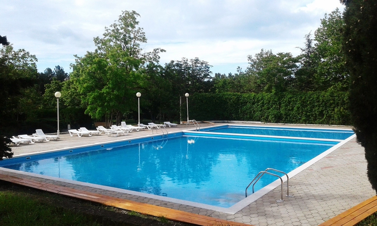 Imagen de la piscina del Hotel Orchestra Horizont Gelendzhik Resort. Foto 14