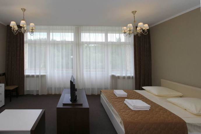 Imagen de la habitación del Hotel Orchestra Oka Spa Resort. Foto 16