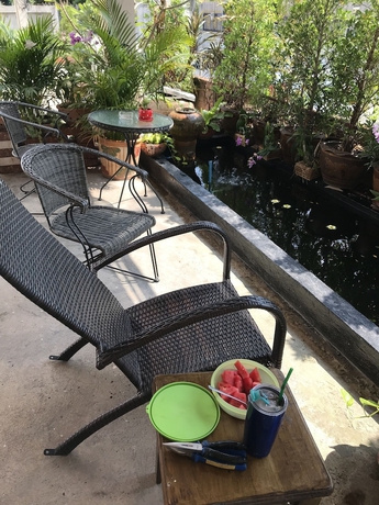 Imagen general del Hotel Orchid Apartment. Foto 5