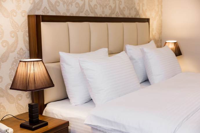 Imagen de la habitación del Hotel Orchid Boutique. Foto 11