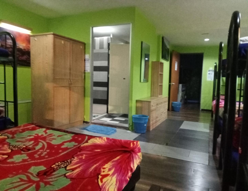 Imagen general del Hotel Orchid Haven. Foto 4