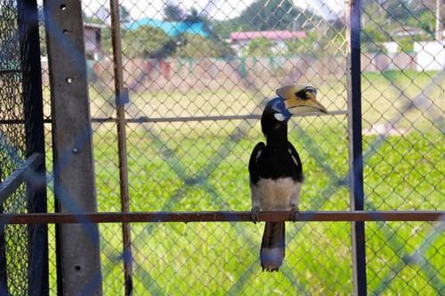 Imagen general del Hotel Orchid Hibiscus Guest House. Foto 35